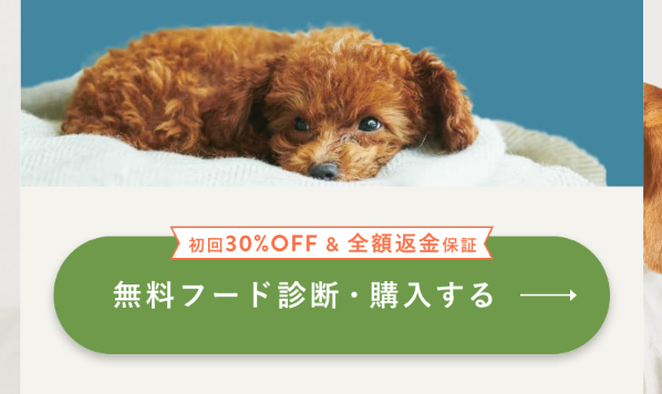 ペトコトフーズ25