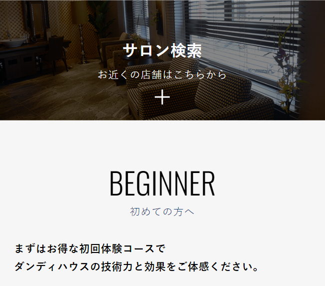 ビギナー