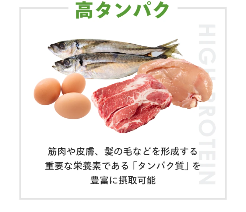 高タンパク