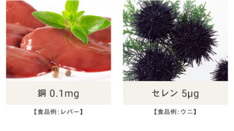 選ばれる理由-50