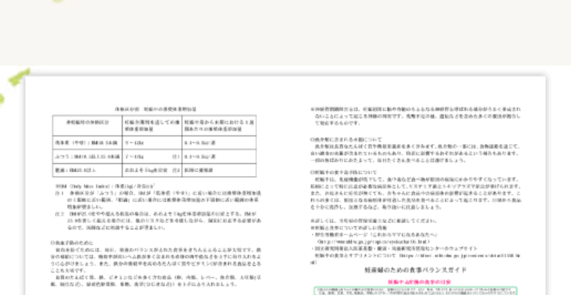 afc-葉酸サプリ-85