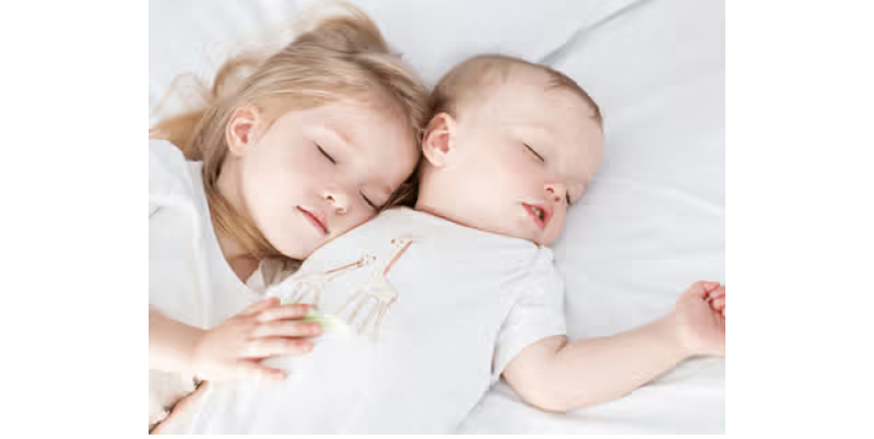 環境への取り組み-2