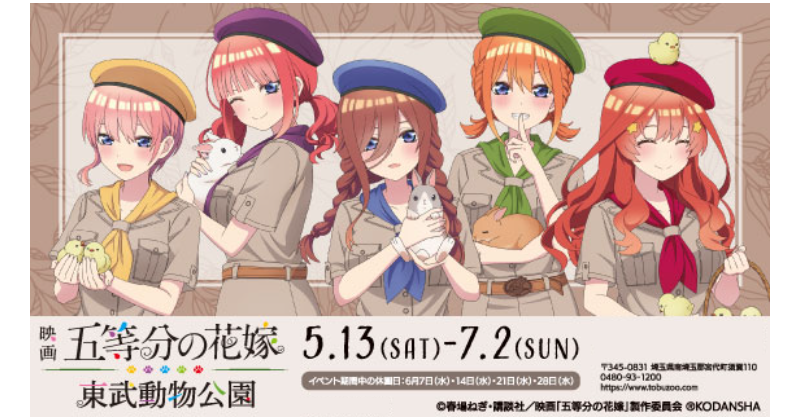 バナー-5