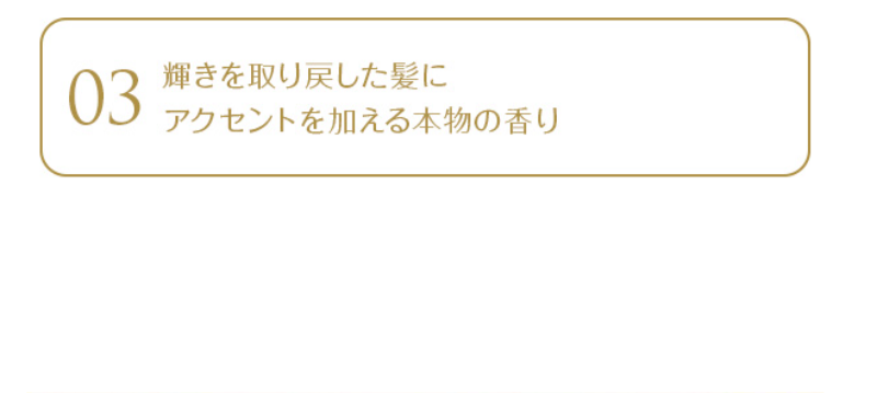 アンククロス-8