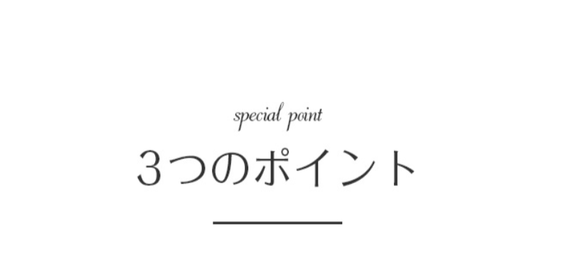 3つのポイント-11