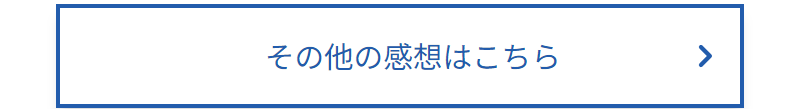 ウィッグの感想-6