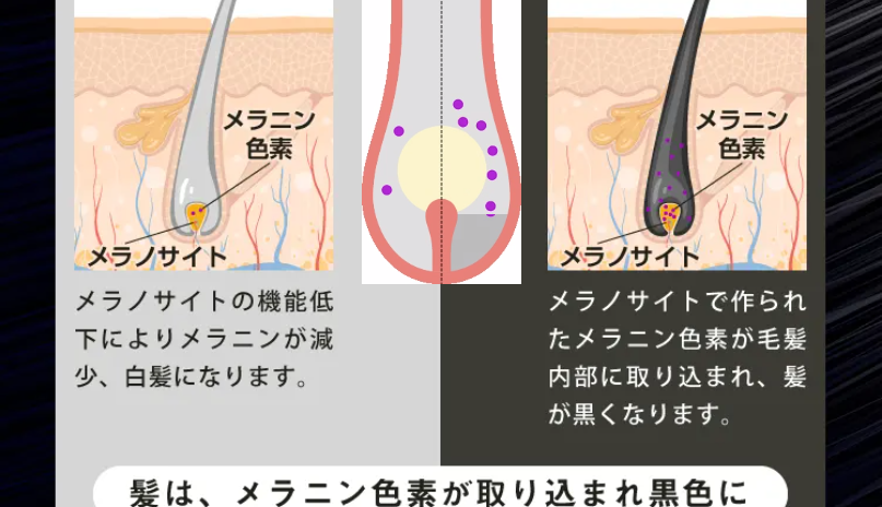 今の髪と頭皮に満足していますか6