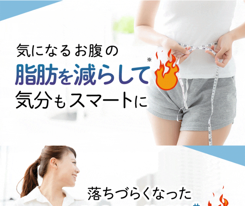 商品紹介1-2