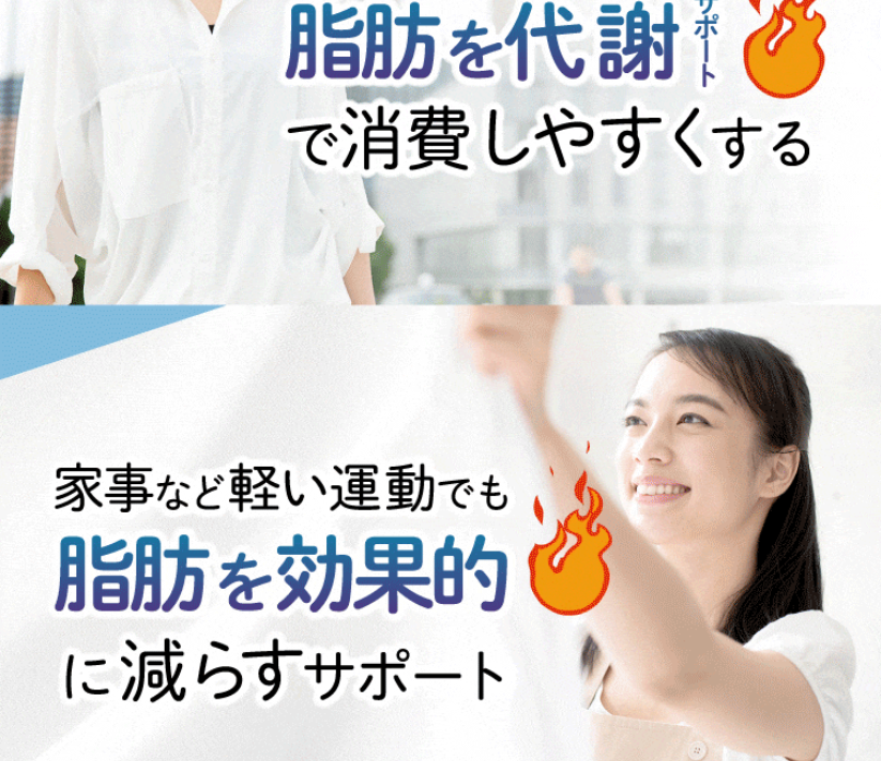 商品紹介1-3