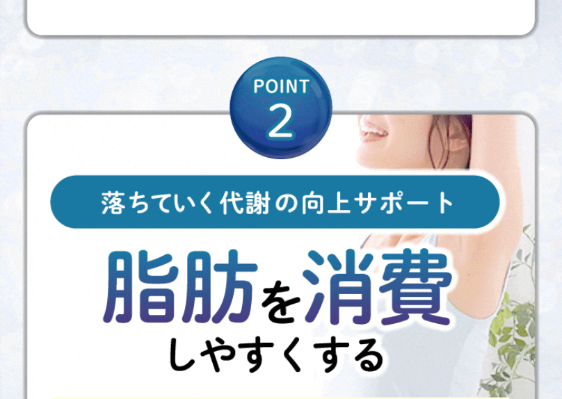 ポイント2