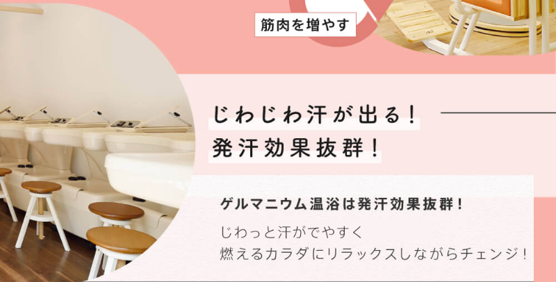 ボディーズ-5