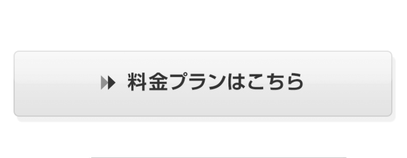 料金プラン-3