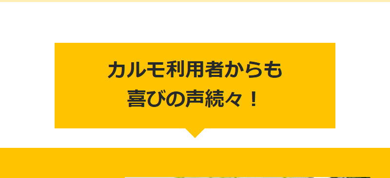 定額カルモくん018