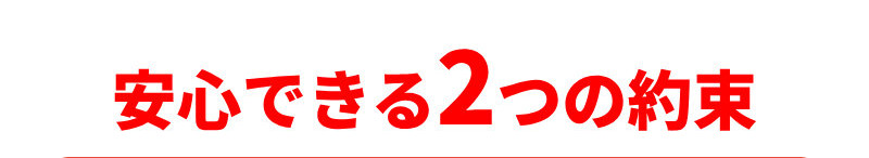 定額カルモくん051-2