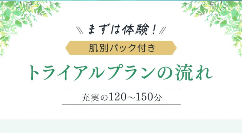 トライアルプランの流れ-1