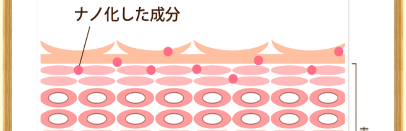 こだわり1成分をナノ化で届ける4