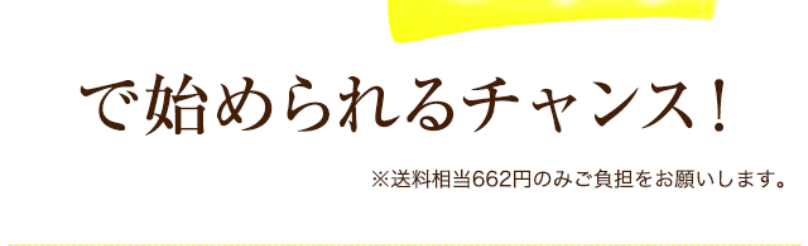実質0円2