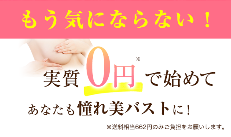 実質0円で憧れ美バストに