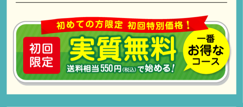初回特別価格
