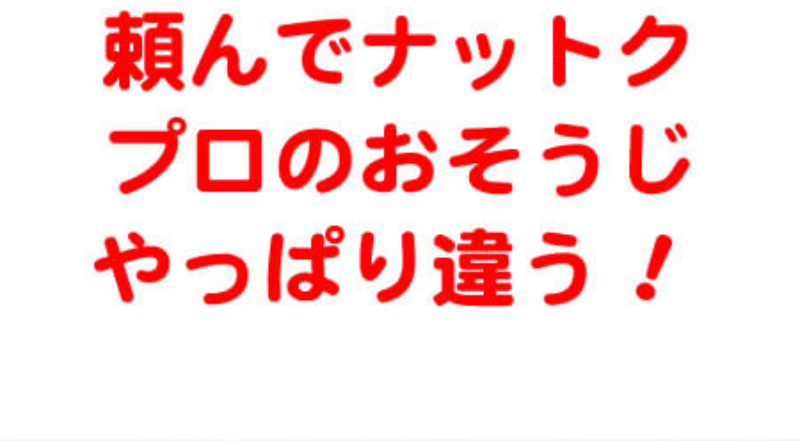 ほづみ-2