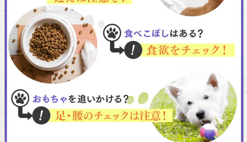 毎日の健康サインチェック3