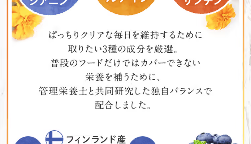 3大成分2