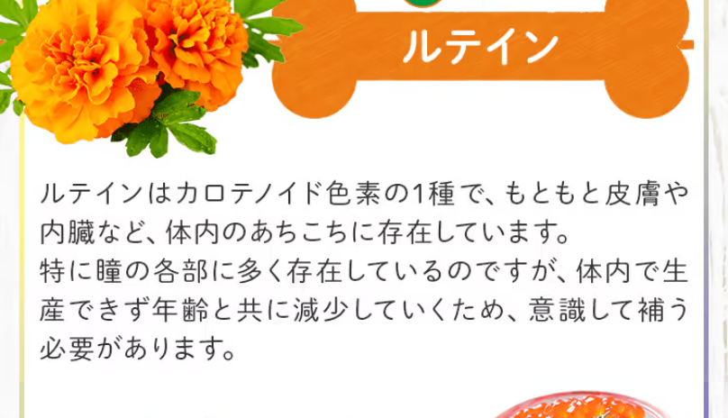 ルテイン