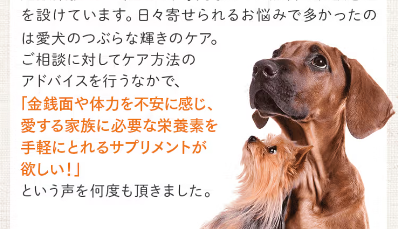 犬の管理栄養士3