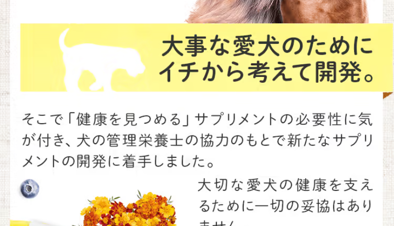 犬の管理栄養士4