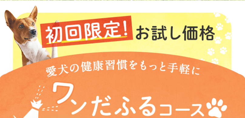 初回限定お試し価格1