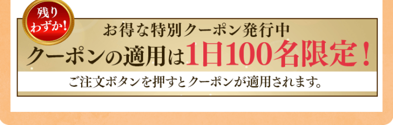 クーポン適用は1日100名限定