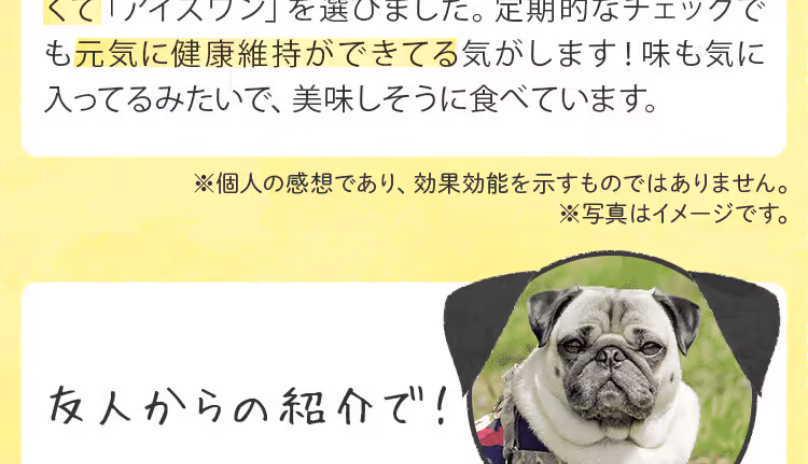 アンケート調査結果2