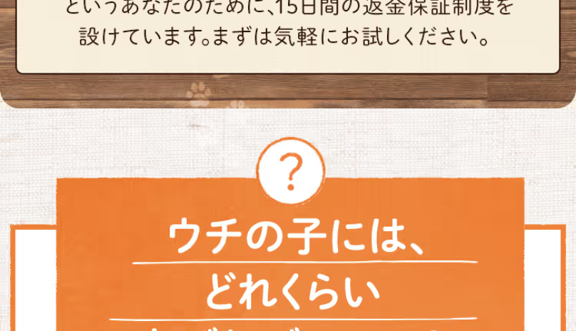 一日の目安量1