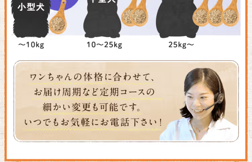 一日の目安量4