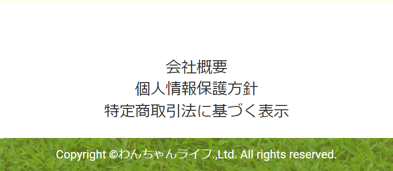 ページフッター