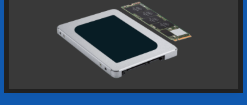 キャンペーン・特集-11