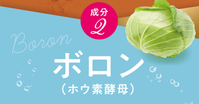 フワモア042