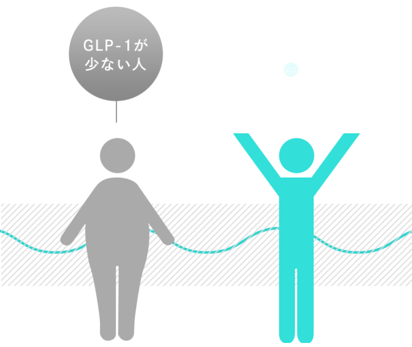 GLP-1とは2