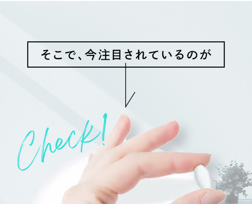 今注目されているのが