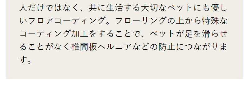 商品ラインナップ-21