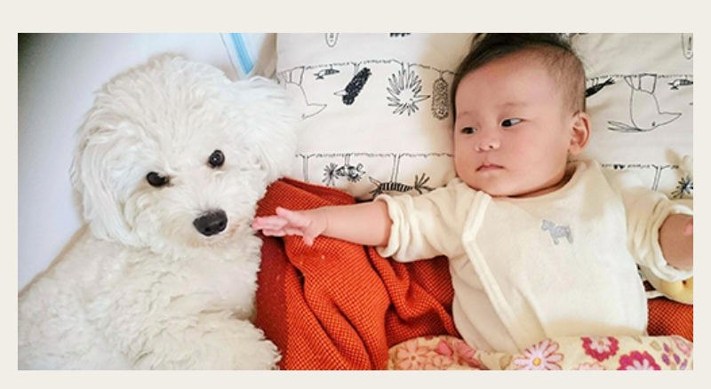 ピックアップ-8