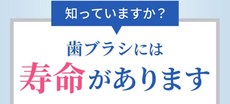 奇跡の歯ブラシ068