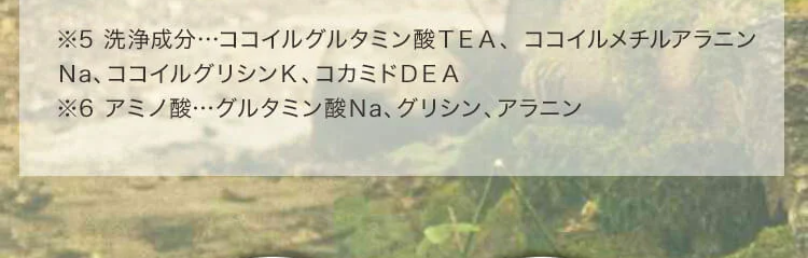 蓄積汚れをクレンジング2