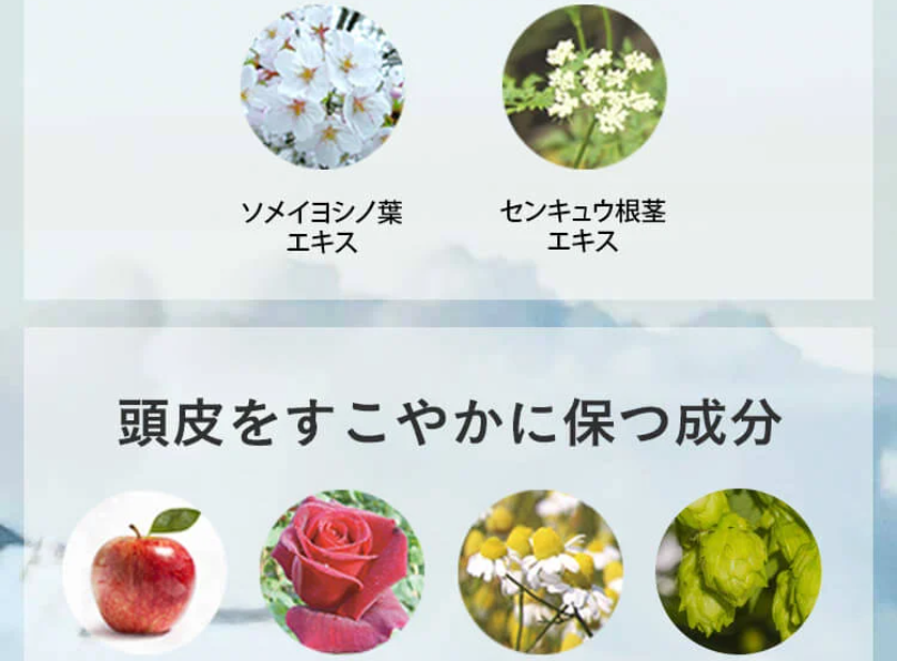 頭皮をすこやかに保つ成分