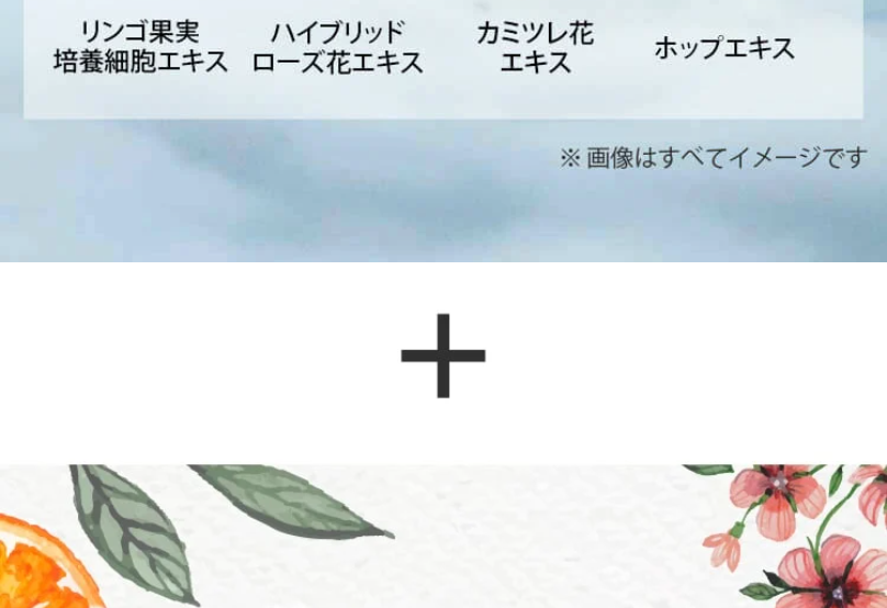 さらに