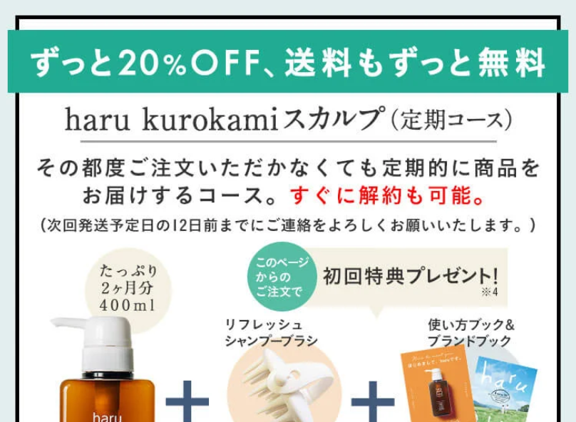 ずっと20%OFF 送料ずっと無料4