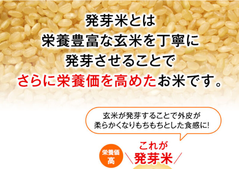 発芽米013