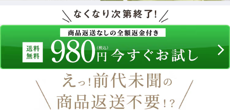 980円今すぐお試し
