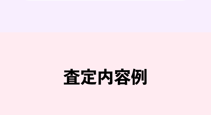 査定内容例-1