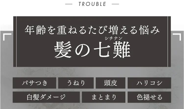 黒髪クリームシャンプー・カミカ-49